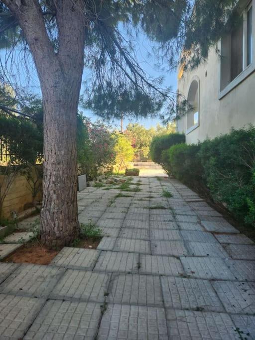 Appartamento Peaceful Oasis Atene Esterno foto