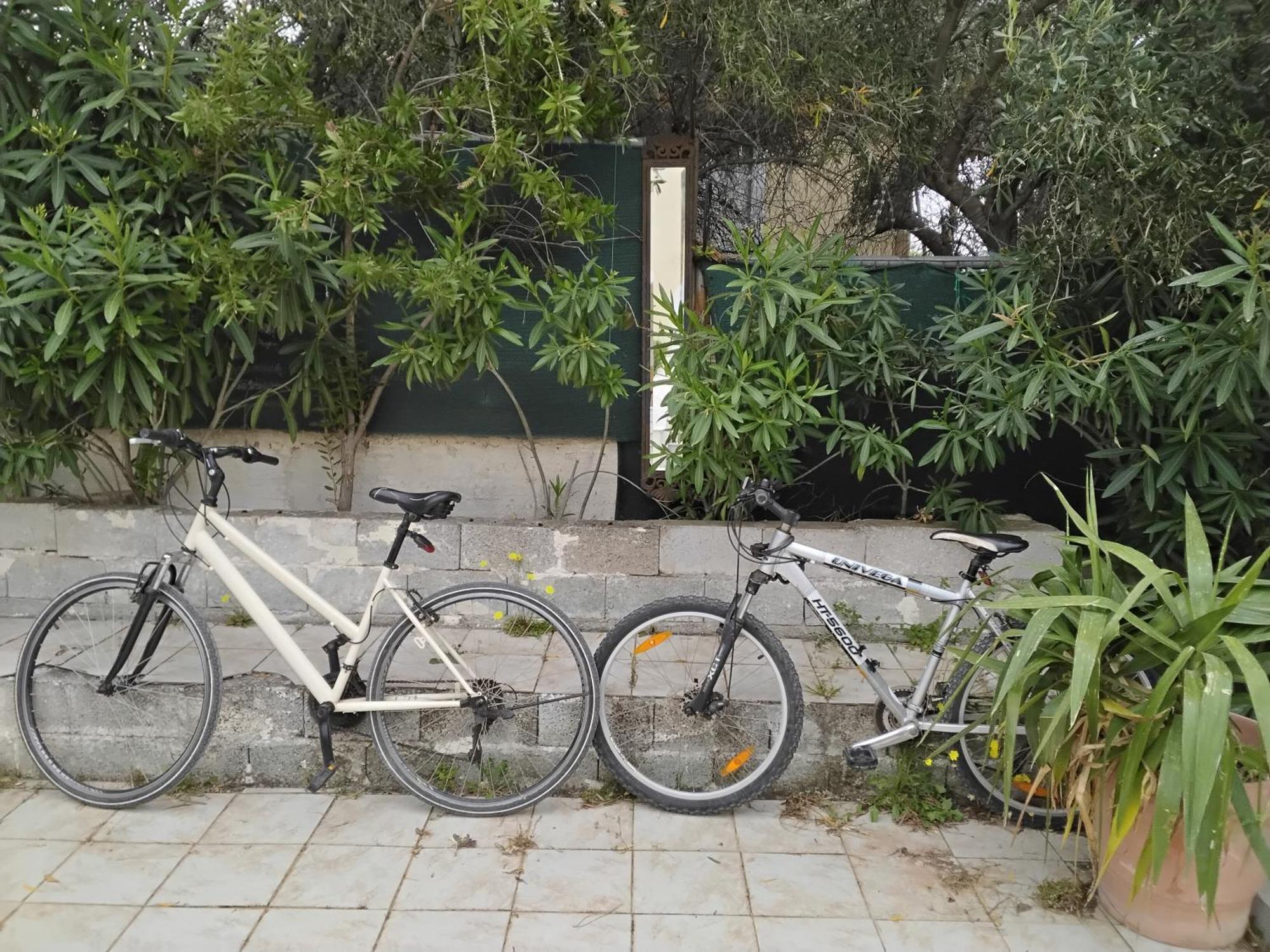 Appartamento Peaceful Oasis Atene Esterno foto