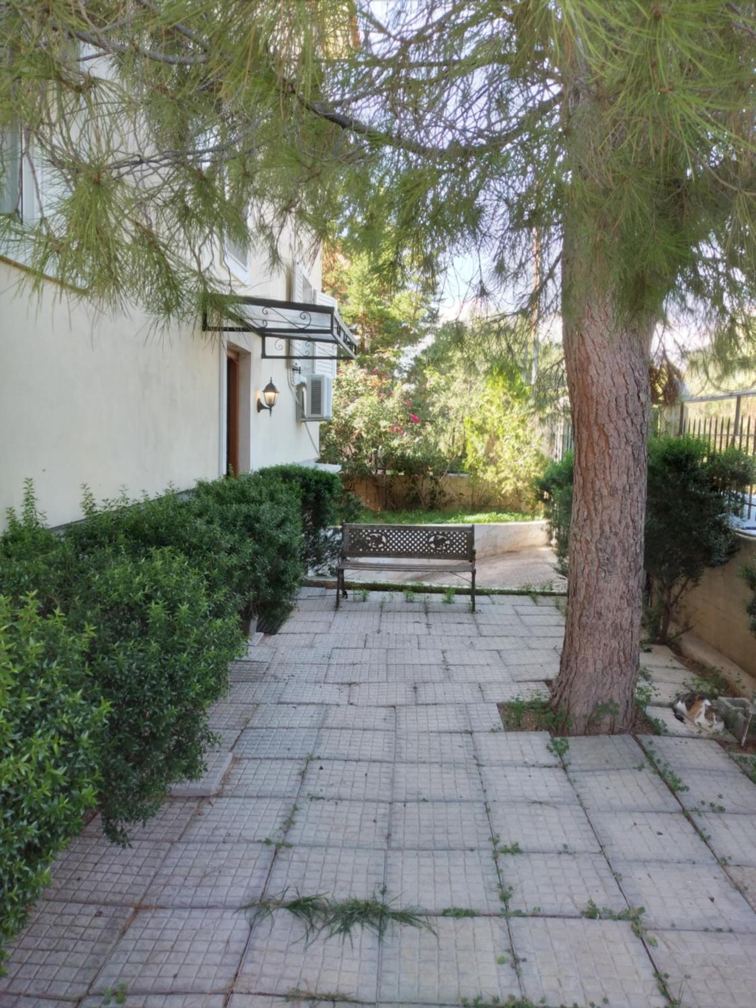 Appartamento Peaceful Oasis Atene Esterno foto