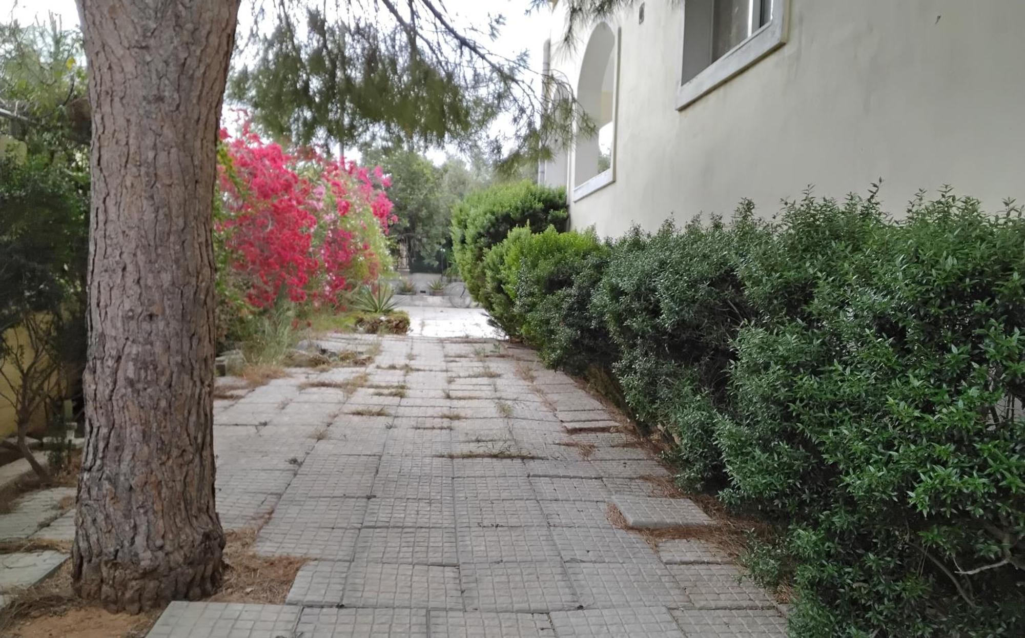 Appartamento Peaceful Oasis Atene Esterno foto