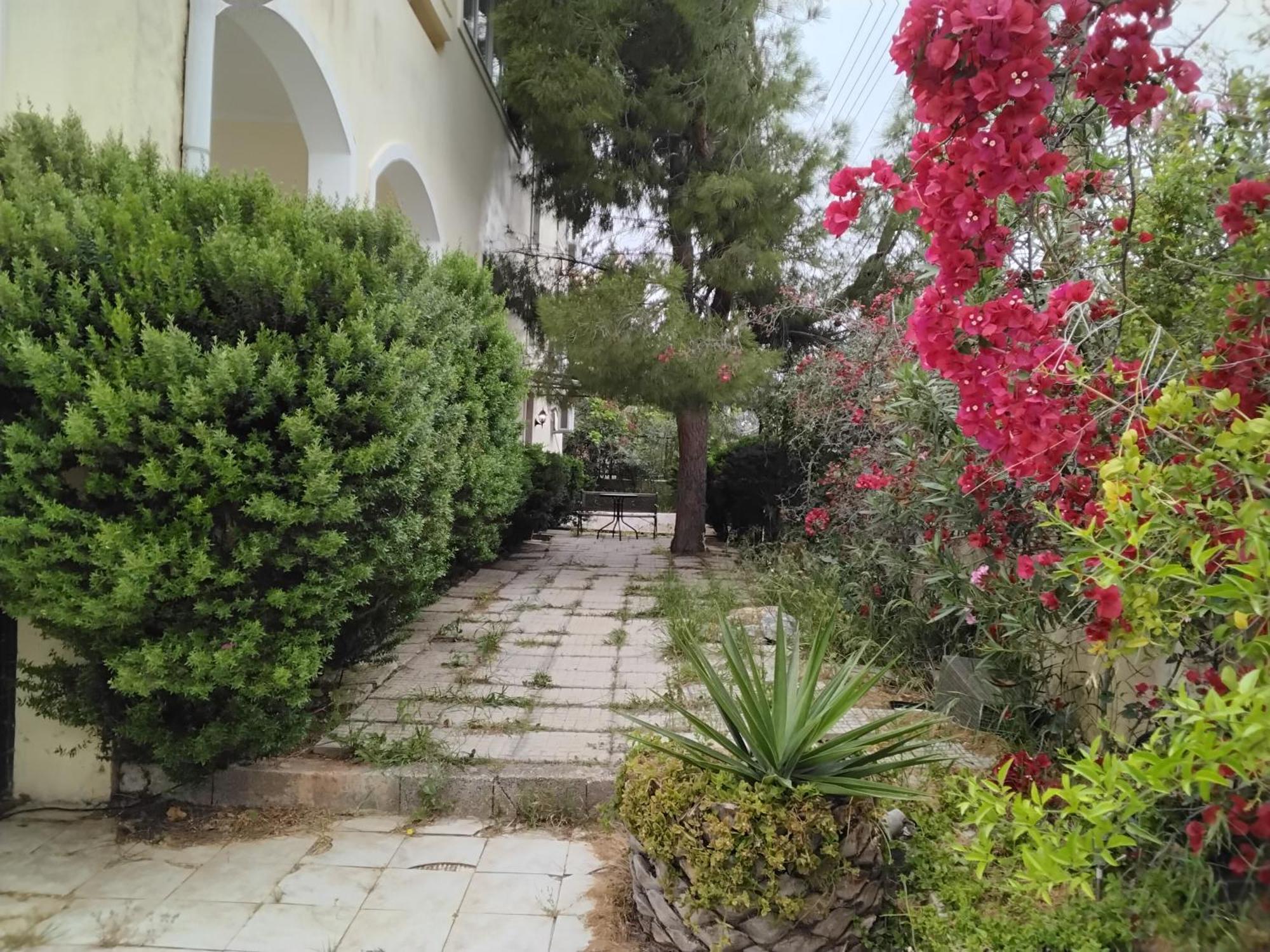 Appartamento Peaceful Oasis Atene Esterno foto